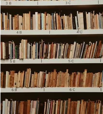 100 萬(wàn)本公共領(lǐng)域書籍，為 AI 訓(xùn)練提供合法數(shù)據(jù)